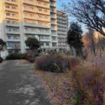 レス1番の画像25