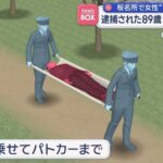 レス1番の画像3