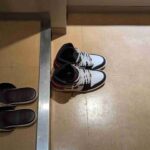 レス36番の画像1