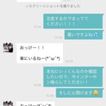 レス96番の画像3