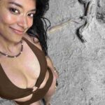 レス32番の画像2