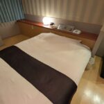 レス13番の画像1