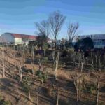 レス1番の画像19