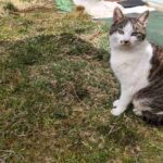 レス23番の画像1