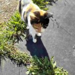 レス25番の画像1