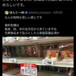 レス5番の画像1