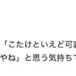 レス4番の画像4