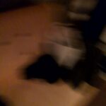 レス8番の画像2