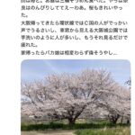 レス1番の画像21