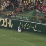 レス22番の画像3