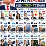 レス11番の画像1