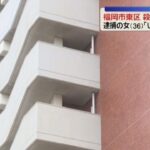 レス2番のリンク先のサムネイル画像