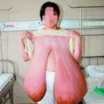 レス72番の画像1