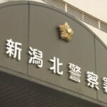 レス2番のリンク先のサムネイル画像