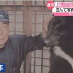 レス13番の画像1