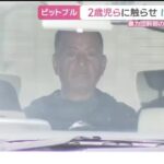 レス1番のリンク先のサムネイル画像