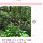 レス2番の画像1