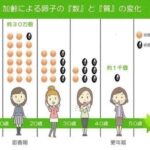 レス22番の画像2