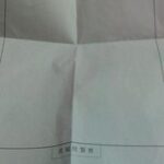 レス9番のリンク先のサムネイル画像