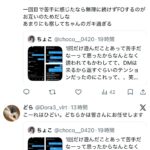 レス21番の画像3