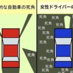レス77番の画像1