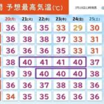 レス1番のリンク先のサムネイル画像
