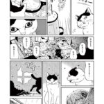 レス24番の画像9