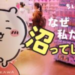レス1番のリンク先のサムネイル画像