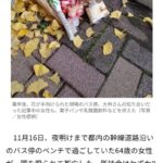 レス11番の画像1
