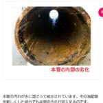 レス31番の画像1