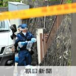 レス2番のリンク先のサムネイル画像