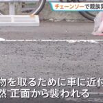 レス28番の画像1