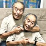 レス17番の画像1