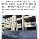 レス1番の画像1