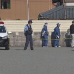 レス2番のリンク先のサムネイル画像