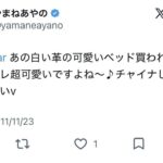レス42番の画像2