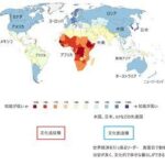 レス3番の画像1