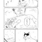 レス25番の画像4