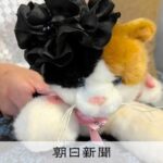 レス1番のリンク先のサムネイル画像