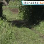 レス1番のリンク先のサムネイル画像