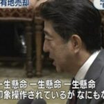 レス27番の画像1