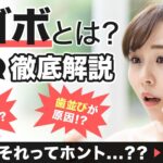 レス17番のリンク先のサムネイル画像