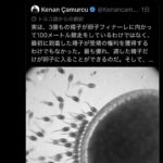 レス1番の画像2
