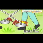 レス1番の画像4