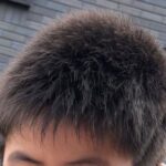 レス43番の画像1