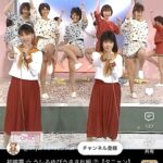 レス31番の画像1