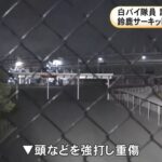 レス1番の画像2