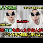 レス13番の画像1