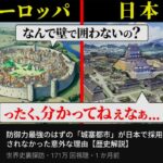 レス31番の画像1