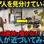レス24番の画像2